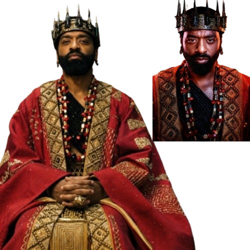 Children of Blood and Bone King Saran Embroidered Cloak - Image 4